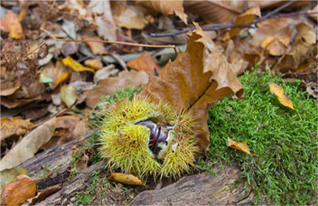 呼死你在线免费试用
